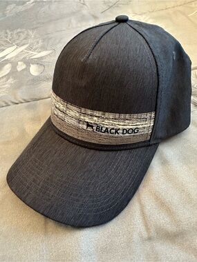 NWOT The Black Dog Men's Bluish Cap with Gray Wood Grain texture Accent Strip OS